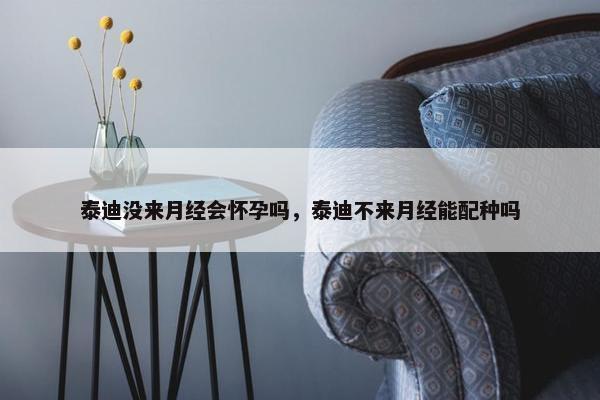 泰迪没来月经会怀孕吗，泰迪不来月经能配种吗