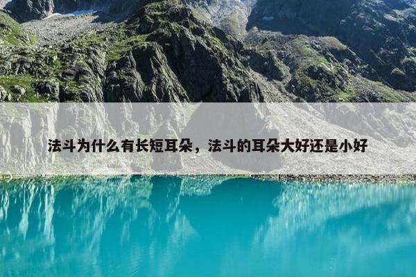 法斗为什么有长短耳朵，法斗的耳朵大好还是小好