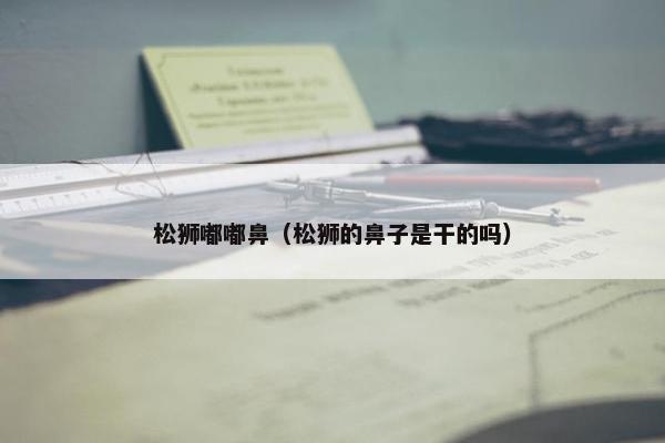 松狮嘟嘟鼻（松狮的鼻子是干的吗）