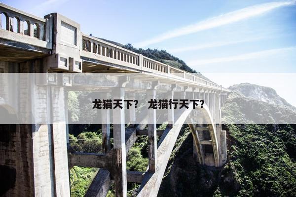 龙猫天下？ 龙猫行天下？