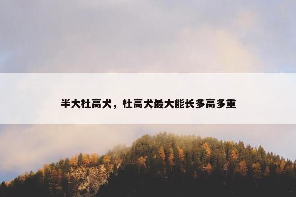 半大杜高犬，杜高犬最大能长多高多重