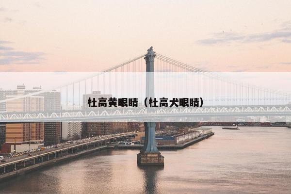 杜高黄眼睛（杜高犬眼睛）