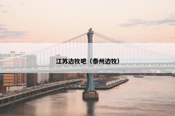 江苏边牧吧（泰州边牧）