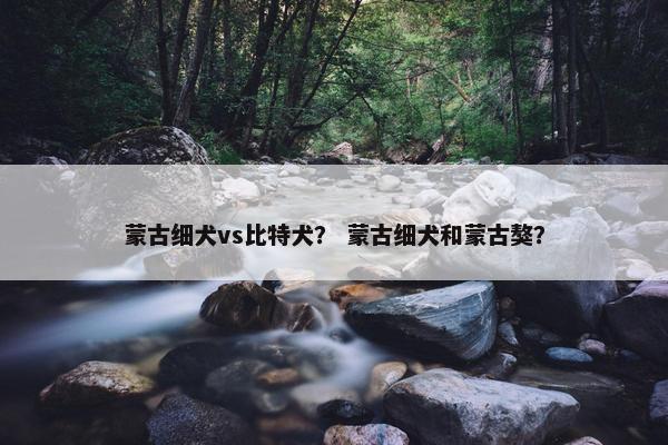 蒙古细犬vs比特犬？ 蒙古细犬和蒙古獒？
