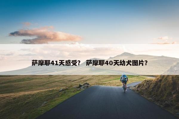 萨摩耶41天感受？ 萨摩耶40天幼犬图片？