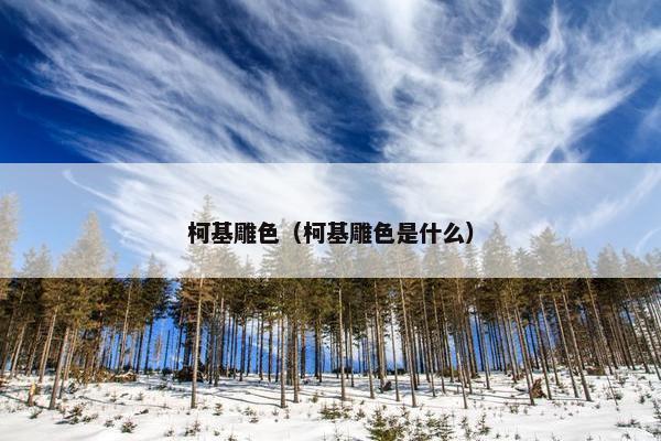 柯基雕色（柯基雕色是什么）