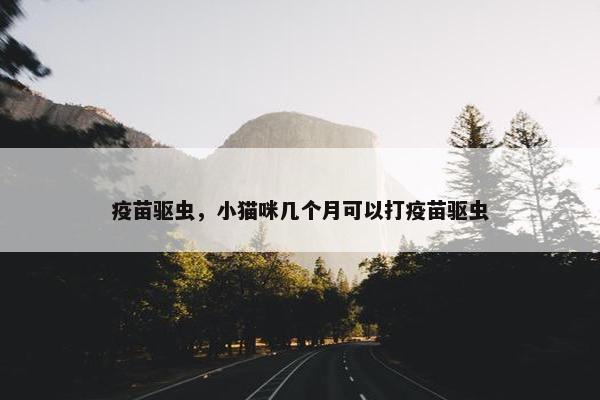 疫苗驱虫，小猫咪几个月可以打疫苗驱虫