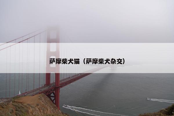 萨摩柴犬猫（萨摩柴犬杂交）