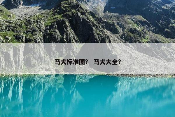 马犬标准图？ 马犬大全？