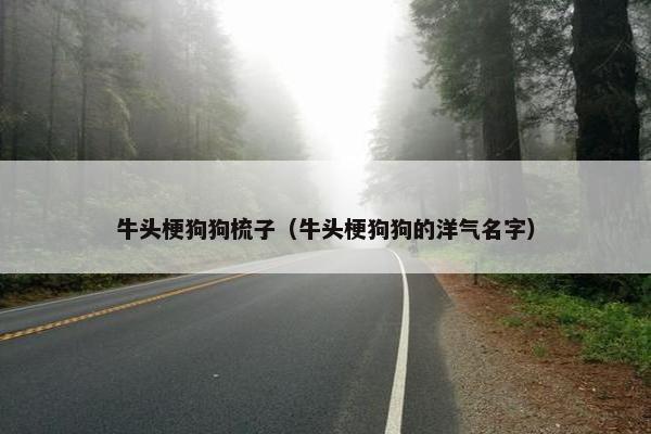 牛头梗狗狗梳子（牛头梗狗狗的洋气名字）