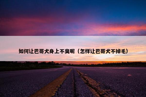 如何让巴哥犬身上不臭呢（怎样让巴哥犬不掉毛）