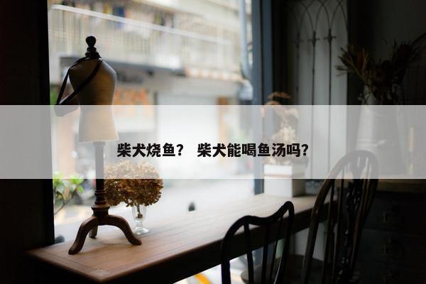 柴犬烧鱼？ 柴犬能喝鱼汤吗？