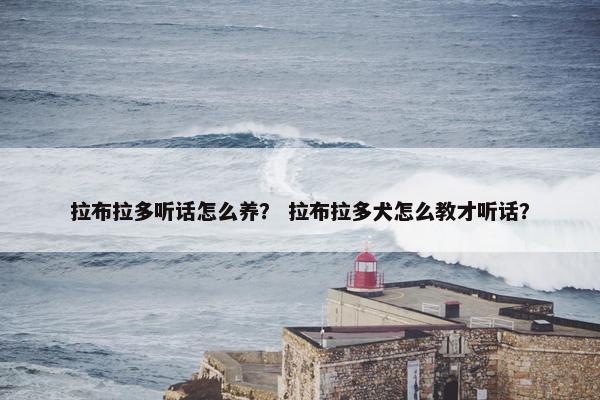 拉布拉多听话怎么养？ 拉布拉多犬怎么教才听话？