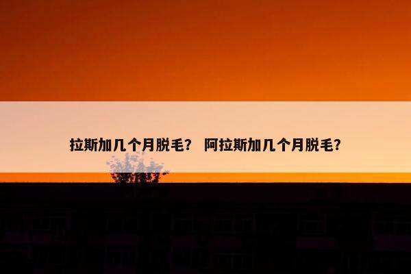 拉斯加几个月脱毛？ 阿拉斯加几个月脱毛？