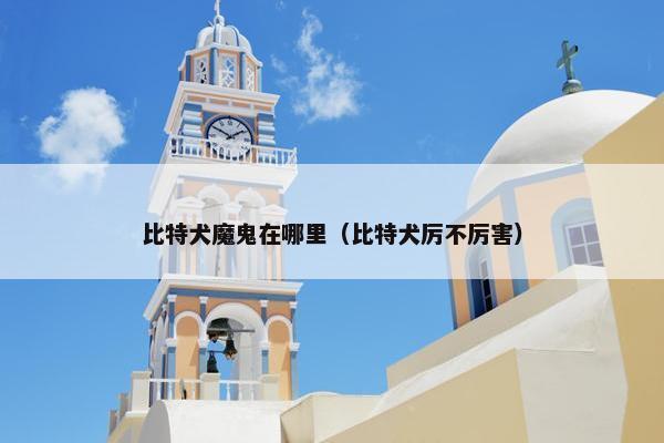 比特犬魔鬼在哪里（比特犬厉不厉害）