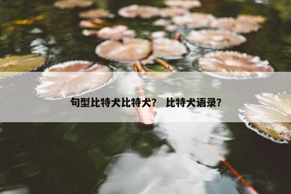 句型比特犬比特犬？ 比特犬语录？