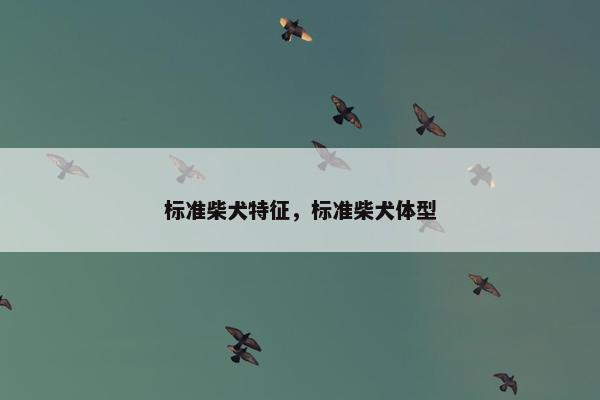 标准柴犬特征，标准柴犬体型