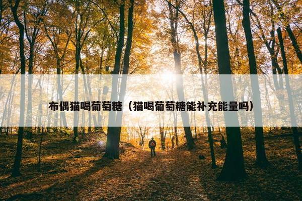 布偶猫喝葡萄糖（猫喝葡萄糖能补充能量吗）