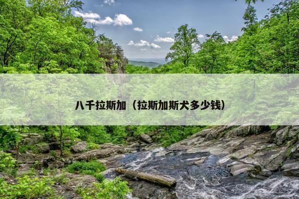 八千拉斯加（拉斯加斯犬多少钱）