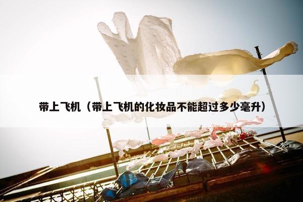带上飞机（带上飞机的化妆品不能超过多少毫升）