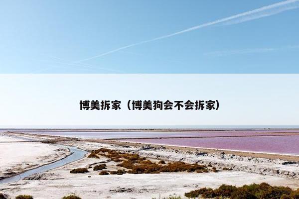 博美拆家（博美狗会不会拆家）