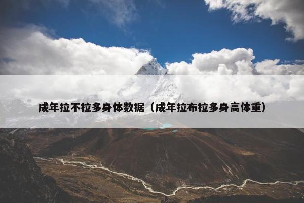 成年拉不拉多身体数据（成年拉布拉多身高体重）