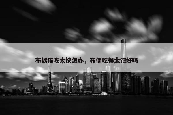布偶猫吃太快怎办，布偶吃得太饱好吗