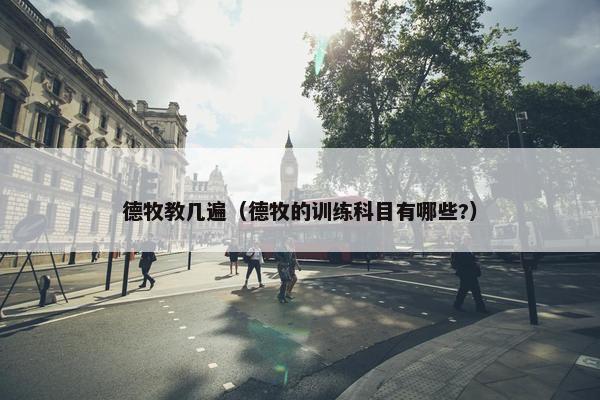 德牧教几遍（德牧的训练科目有哪些?）