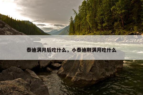 泰迪满月后吃什么，小泰迪刚满月吃什么