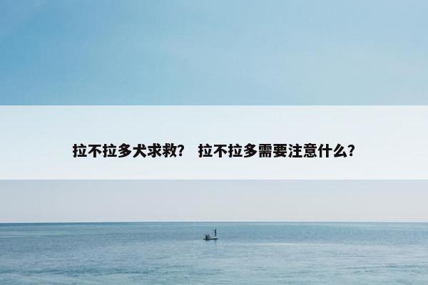 拉不拉多犬求救？ 拉不拉多需要注意什么？