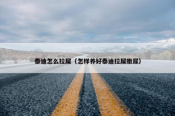 泰迪怎么拉屎（怎样养好泰迪拉屎撒尿）