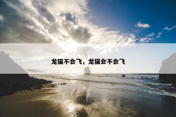 龙猫不会飞，龙猫会不会飞