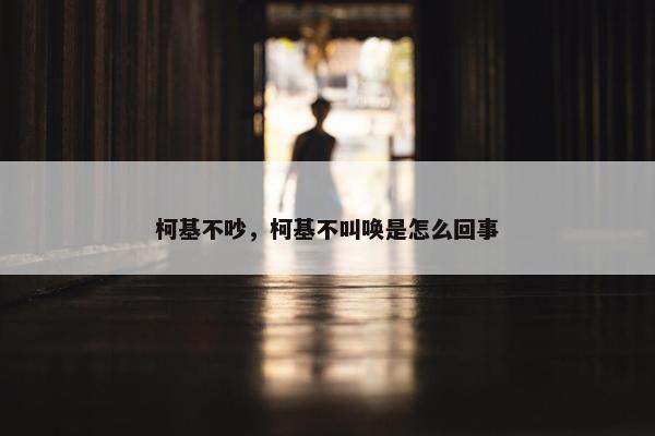 柯基不吵，柯基不叫唤是怎么回事