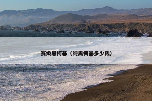 赛级黑柯基（纯黑柯基多少钱）