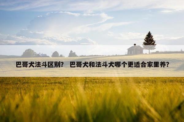巴哥犬法斗区别？ 巴哥犬和法斗犬哪个更适合家里养？