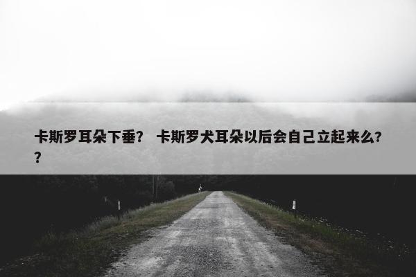 卡斯罗耳朵下垂？ 卡斯罗犬耳朵以后会自己立起来么?？