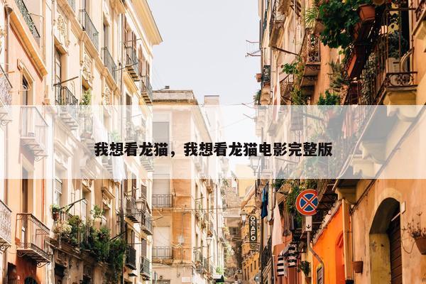 我想看龙猫，我想看龙猫电影完整版