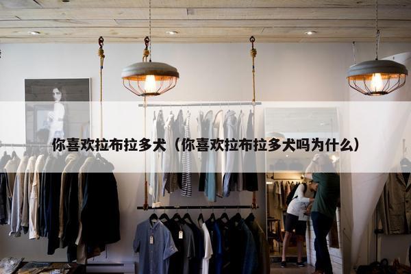 你喜欢拉布拉多犬（你喜欢拉布拉多犬吗为什么）