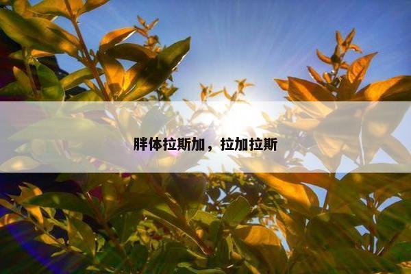 胖体拉斯加，拉加拉斯