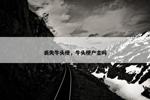丢失牛头梗，牛头梗户主吗