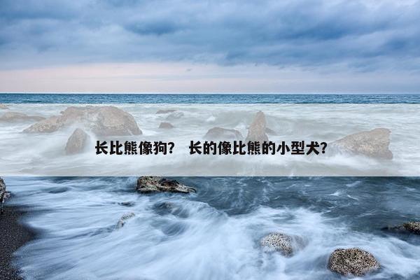长比熊像狗？ 长的像比熊的小型犬？
