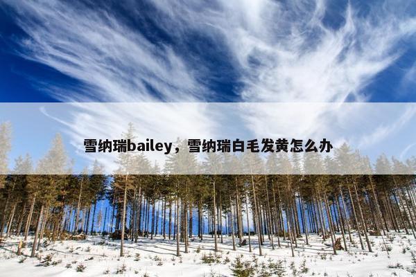 雪纳瑞bailey，雪纳瑞白毛发黄怎么办