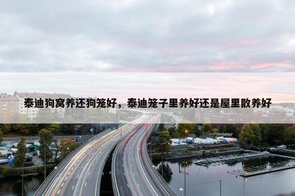 泰迪狗窝养还狗笼好，泰迪笼子里养好还是屋里散养好