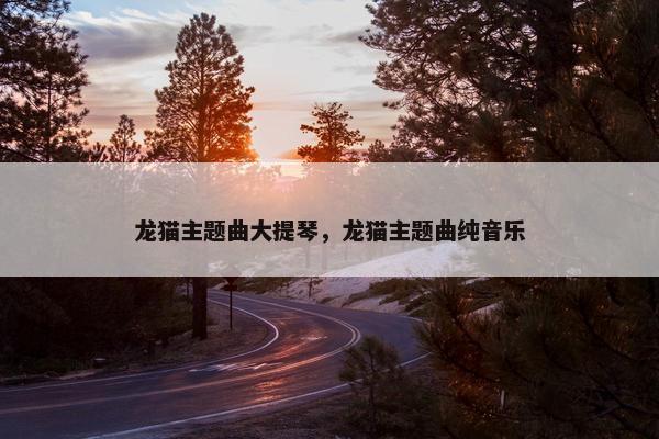 龙猫主题曲大提琴，龙猫主题曲纯音乐