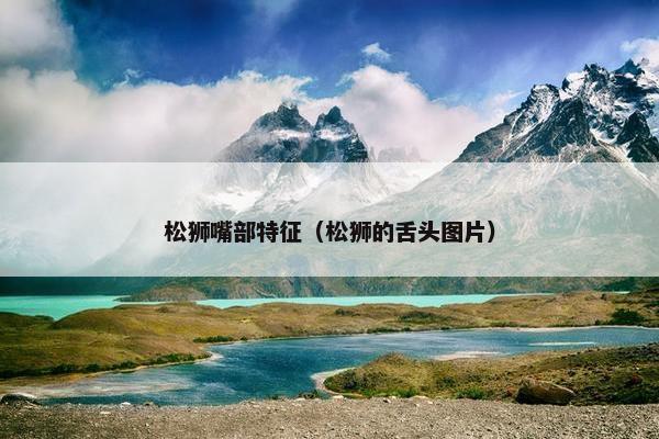 松狮嘴部特征（松狮的舌头图片）