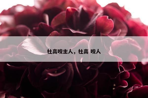 杜高咬主人，杜高 咬人
