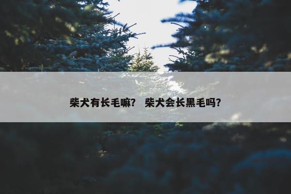 柴犬有长毛嘛？ 柴犬会长黑毛吗？