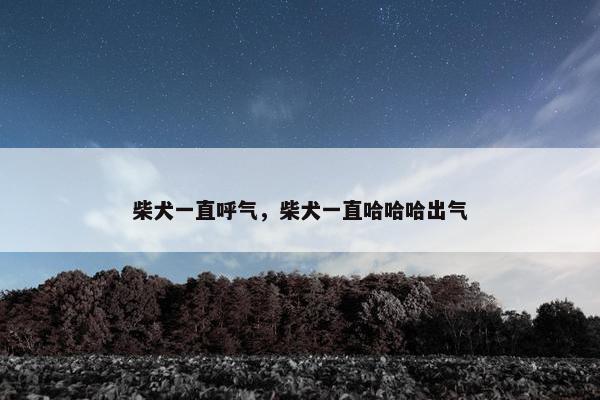 柴犬一直呼气，柴犬一直哈哈哈出气