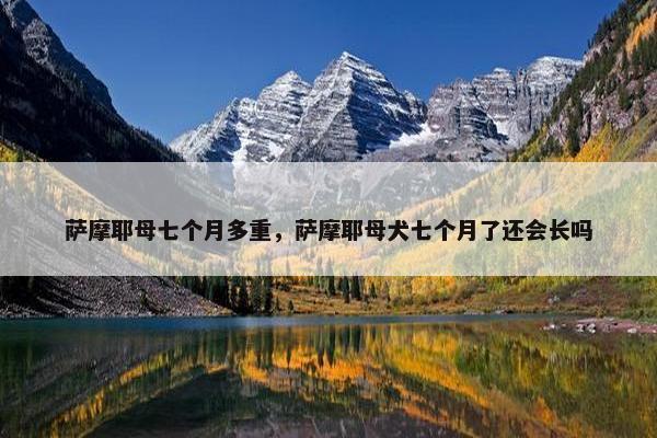 萨摩耶母七个月多重，萨摩耶母犬七个月了还会长吗