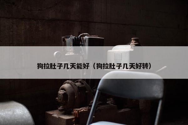 狗拉肚子几天能好（狗拉肚子几天好转）